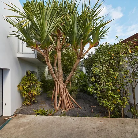 Luxury House Sao Roque (Sao Miguel)